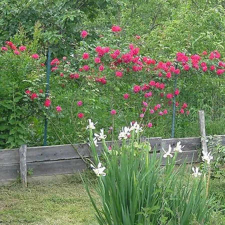 Agriturismo Il Ginepro B&B *