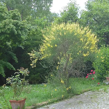 Bed & Breakfast Agriturismo Il Ginepro
