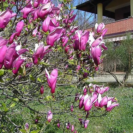 Agriturismo Il Ginepro Bed & Breakfast Giaveno
