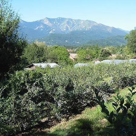 Bed and Breakfast Agriturismo Il Ginepro