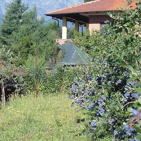 Bed & Breakfast Agriturismo Il Ginepro *