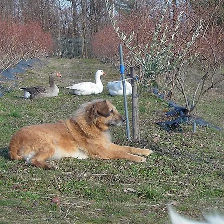 Agriturismo Il Ginepro * Giaveno